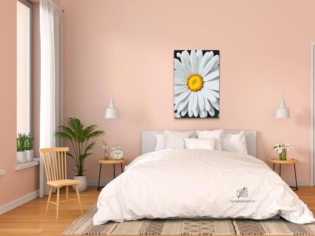 Gario Maľovanie podľa čísel Kvet sedmokrásky Rozmery: 40 x 60 cm, Rámovanie: S vnútorným rámom