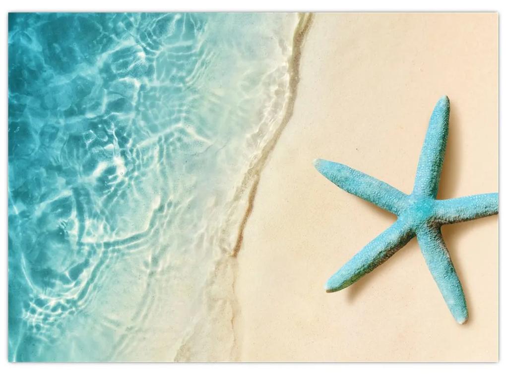 Obraz - Hviezdica na pláži (70x50 cm)