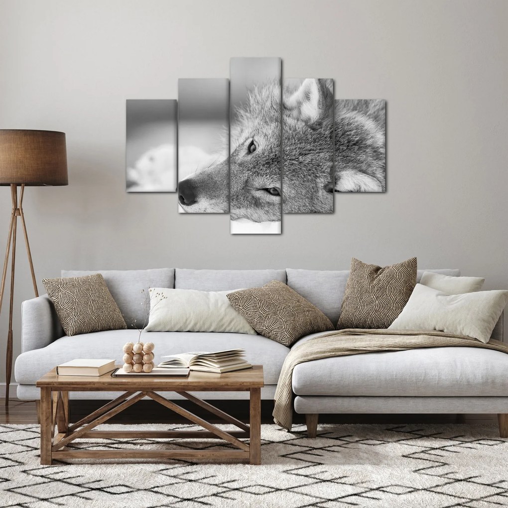 Obraz - Vlk, čiernobiela (150x105 cm)