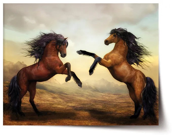 Sablio Plagát Vzpierajúce sa kone - 60x40 cm