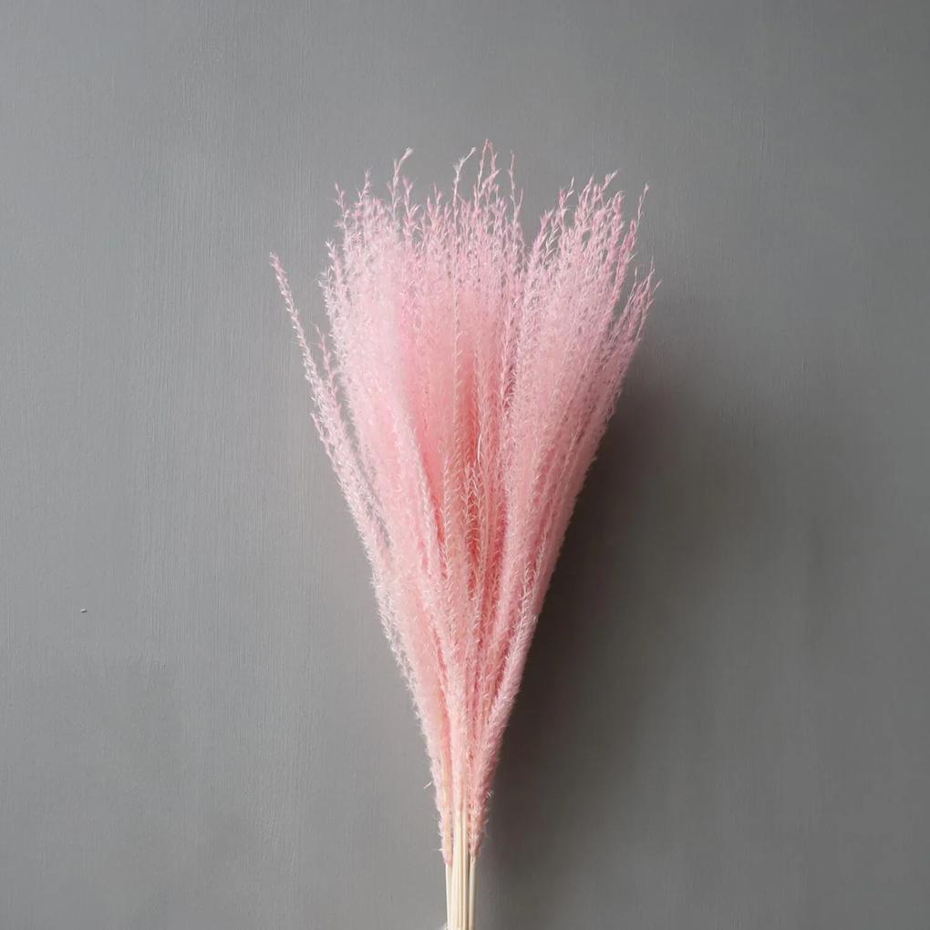 Sušená tráva Feather Pampas faded pink