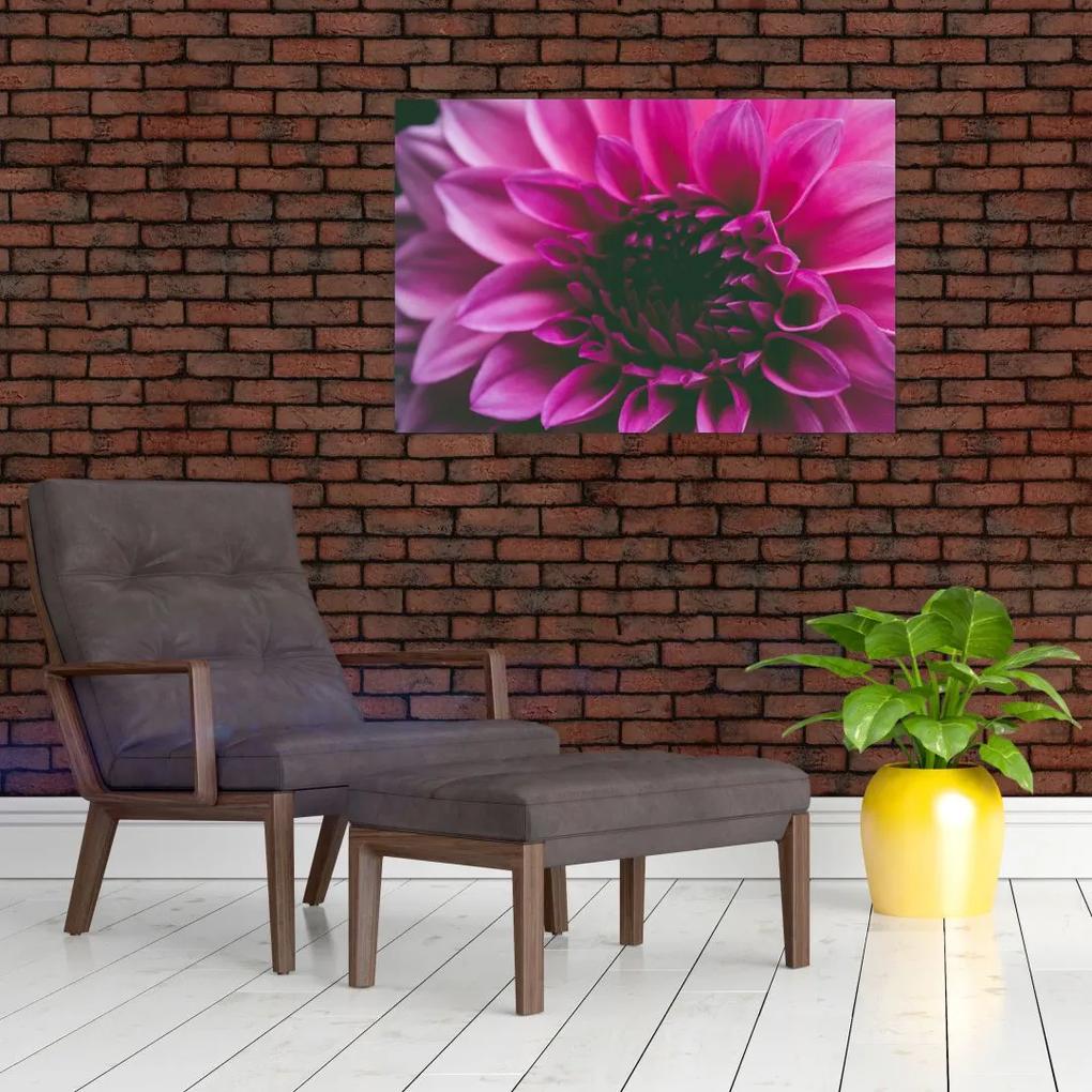 Obraz ružového kvetu (90x60 cm)
