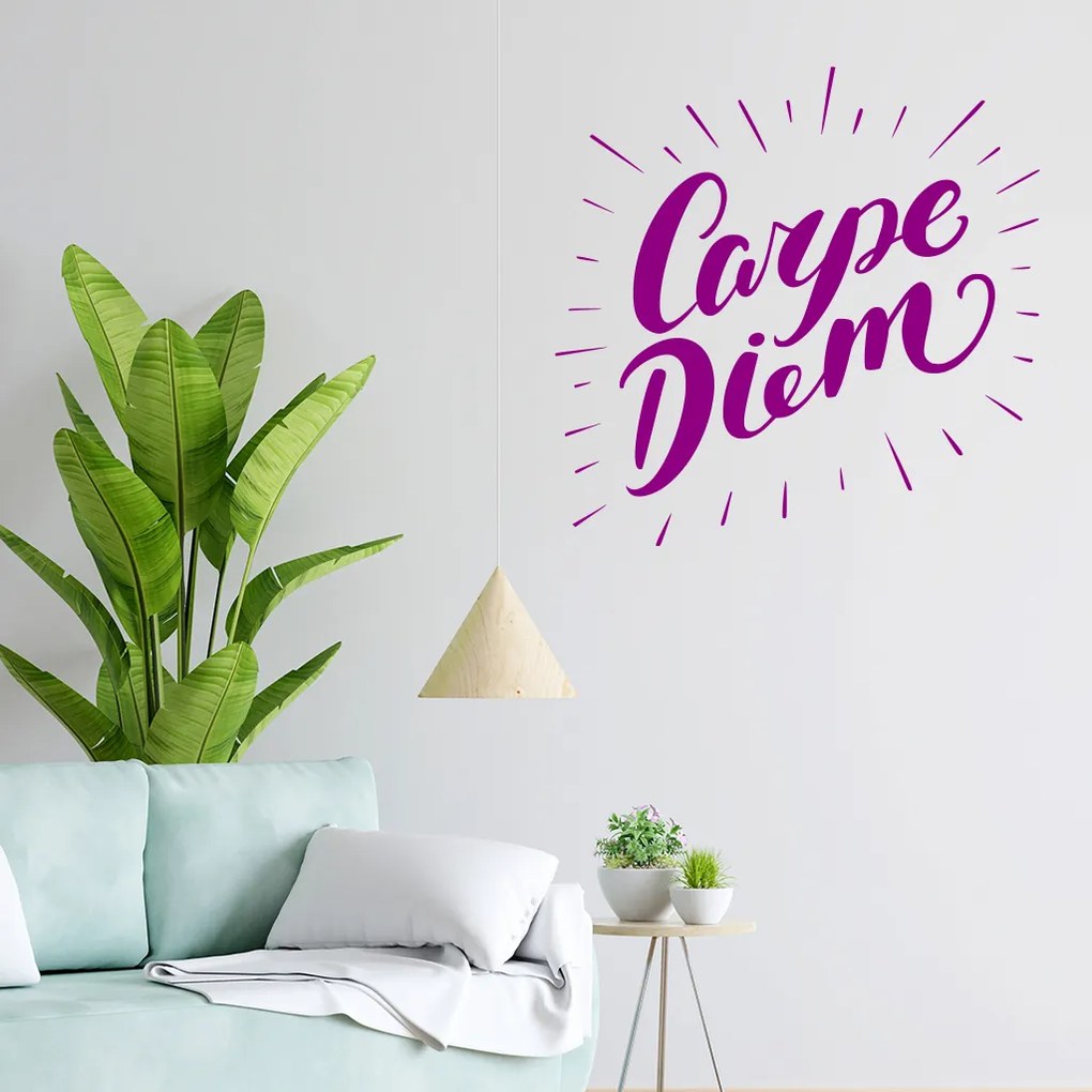 Veselá Stena Samolepka Carpe Diem (Užívaj dňa) Farba: modrá, Veľkosť: 80 x 80 cm