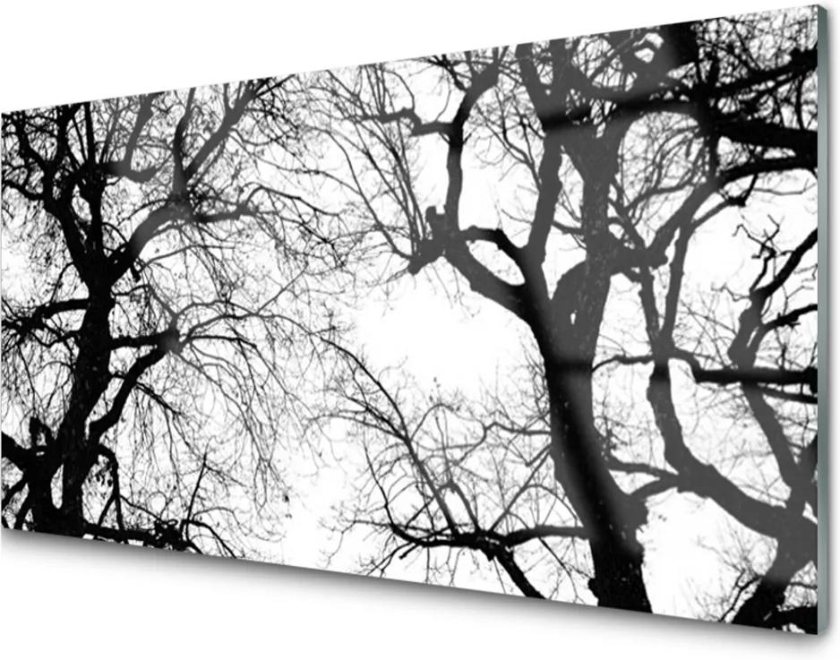 Skleněný obraz Stromy Příroda Černobílý