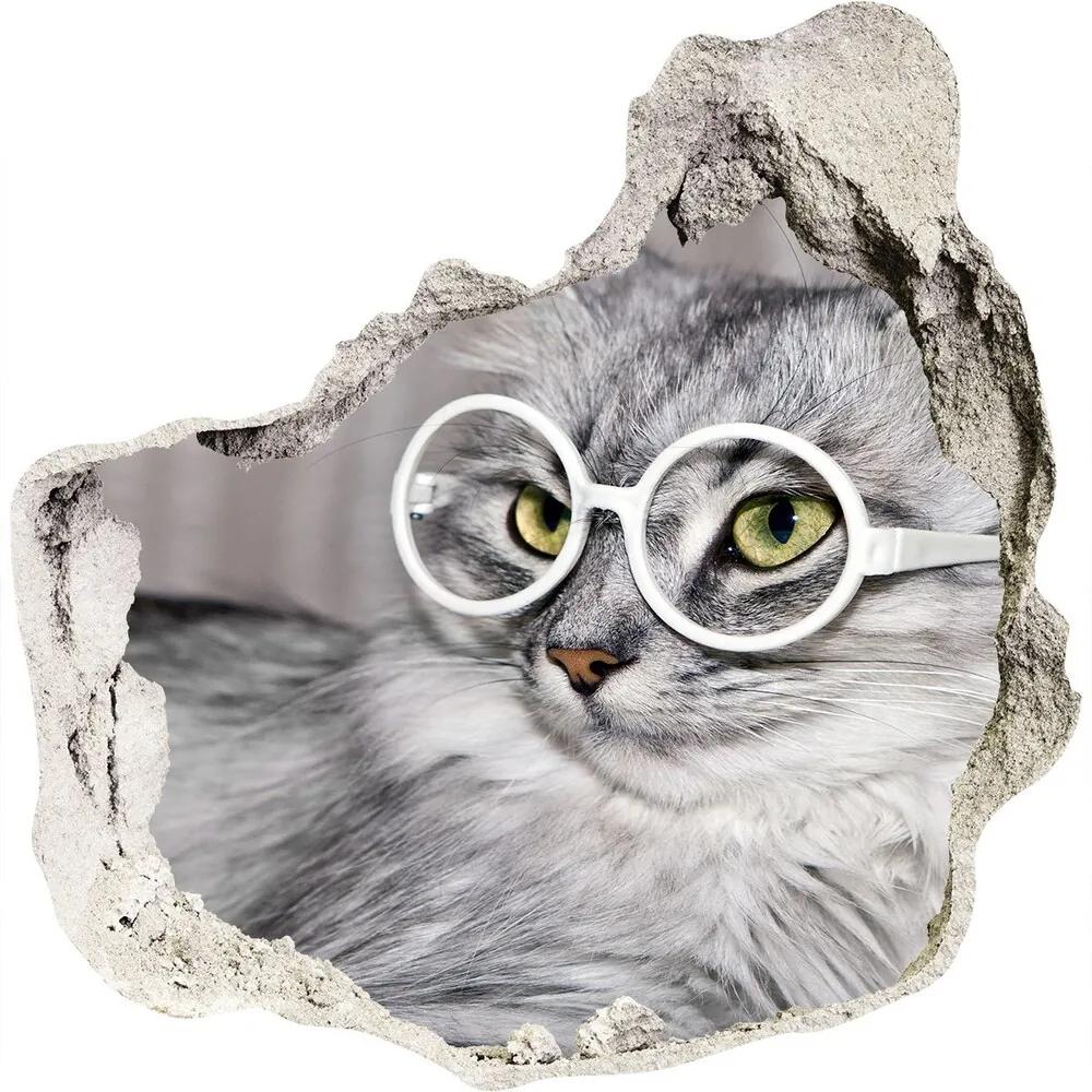 Diera 3D foto tapeta nálepka Mačka s okuliarmi nd-p-115959381