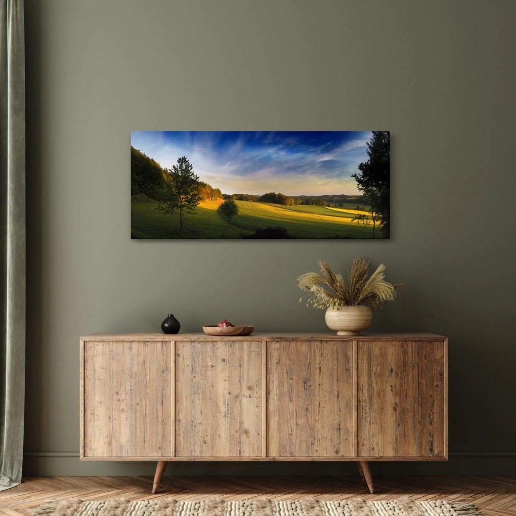 Obraz - Horská lúka (120x50 cm)