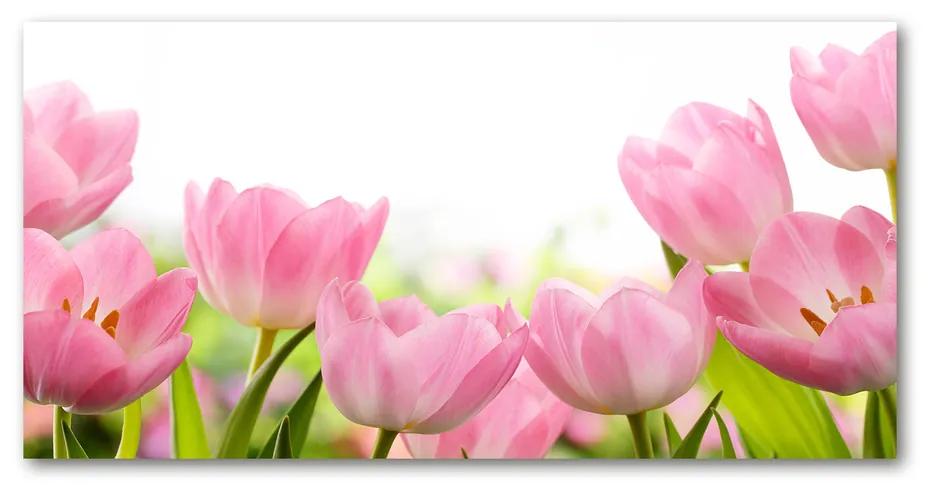 Foto obraz akrylové sklo Ružové tulipány pl-oa-140x70-f-76412458