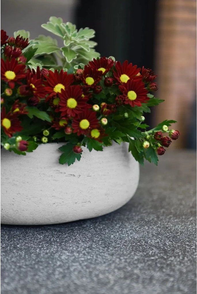 Dekoračná miska PERA, sklolaminát, Ø 27 cm, béžová