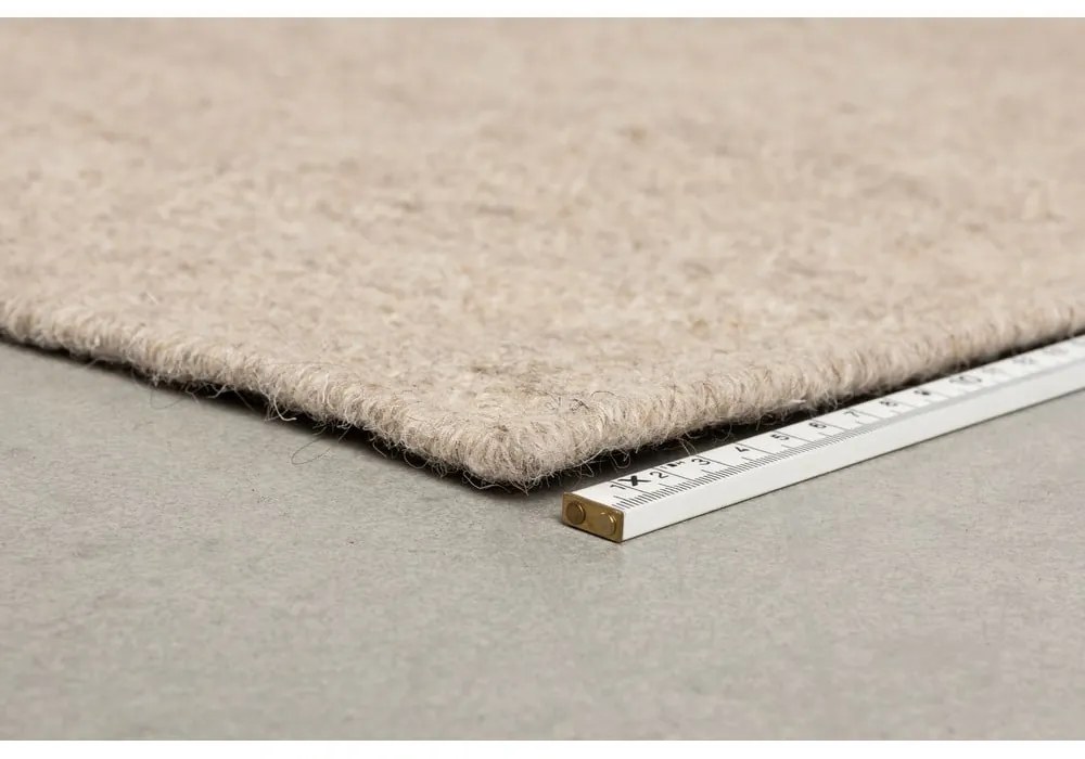 Hnedý/béžový vlnený koberec 200x300 cm Briton – Dutchbone