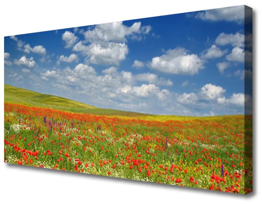 Obraz na plátne Lúka kvety príroda 100x50 cm