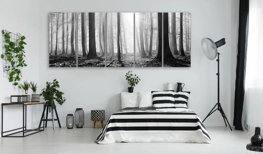 5-dielny obraz čiernobiely svet - Monochrome Forest
