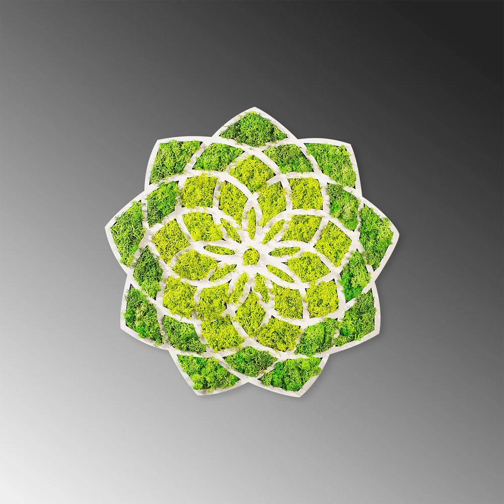 Nástenná MDF dekorácia Sedmokráska zelená