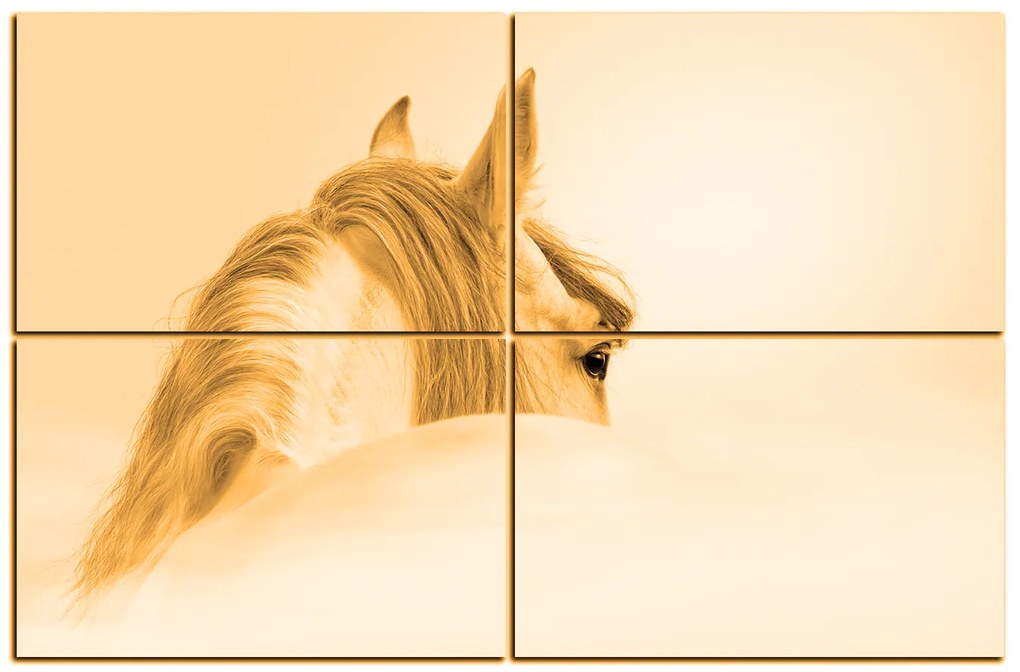 Obraz na plátne - Andalúzsky kôň v hmle 1219FE (120x80 cm)