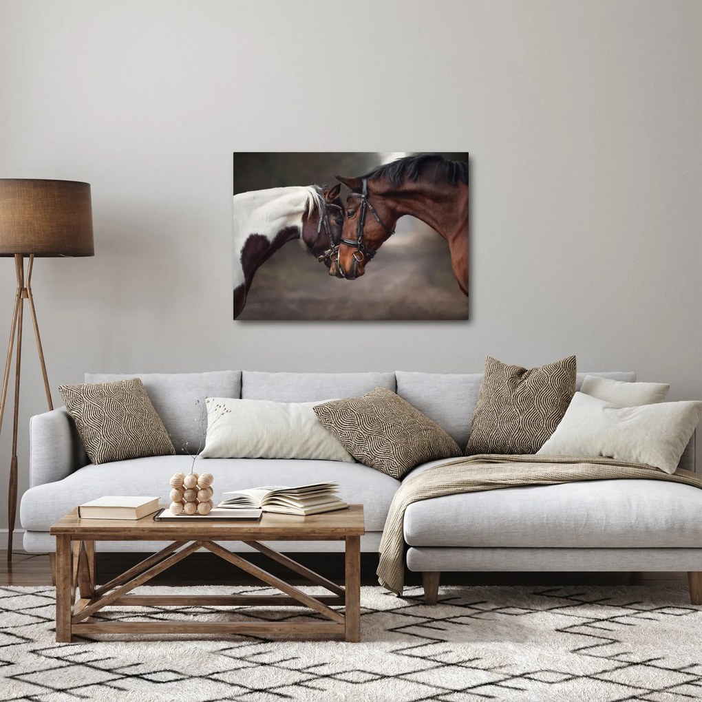 Obraz - Zamilované kone (70x50 cm)