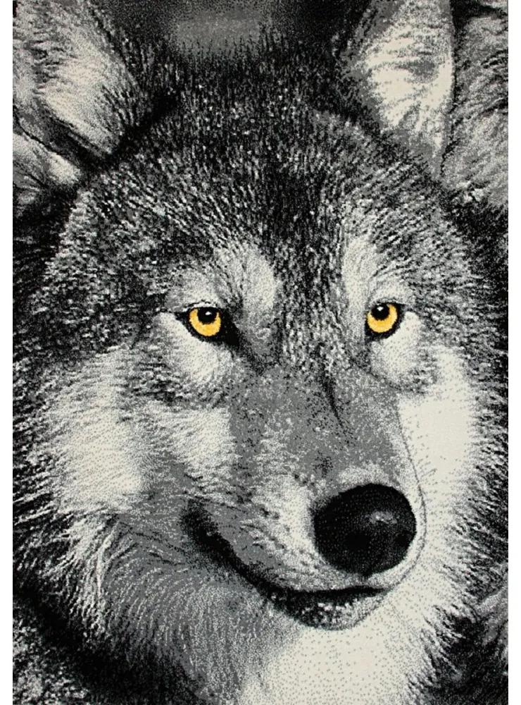 Kusový koberec Vlk sivý, Velikosti 160x230cm