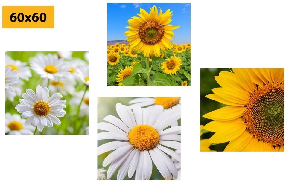 Set obrazov nádherné kvety na lúke - 4x 60x60