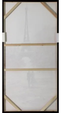 Obraz maľovaný originál 60x120 FCAF160395A