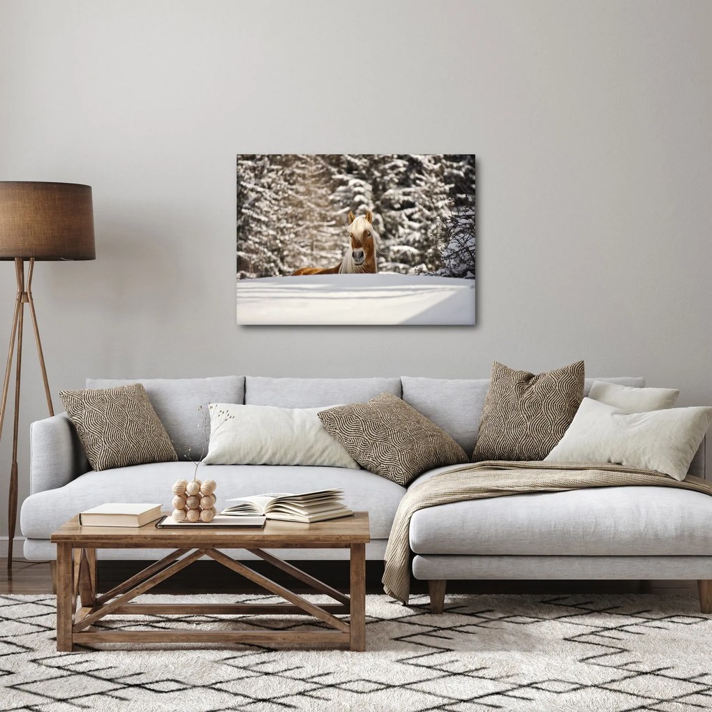 Obraz - Kôň v zimnej krajine (70x50 cm)