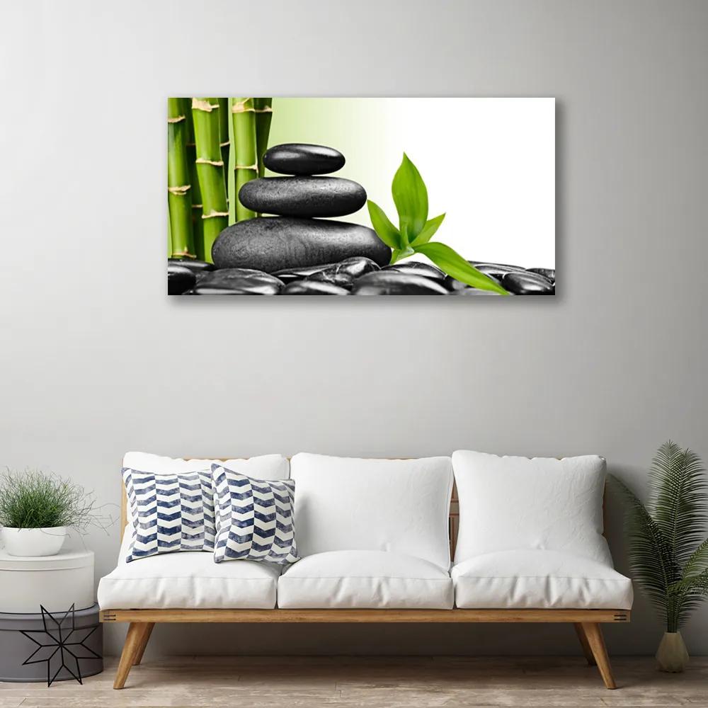 Obraz Canvas Bambus kamene zen umenie 125x50 cm