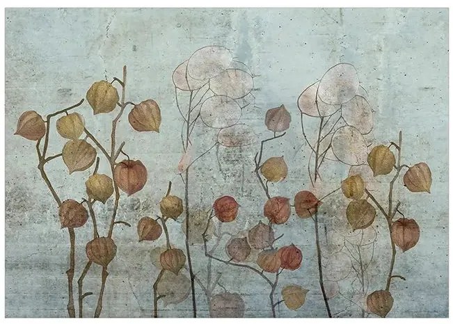 Fototapeta - Painted Lunaria Veľkosť: 250x175, Verzia: Standard