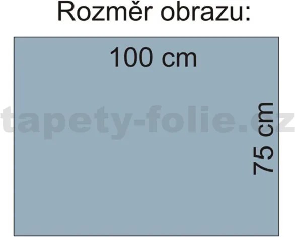 Obraz na plátne, rozmer 100 x 75 cm, les, IMPOL TRADE PP204O1