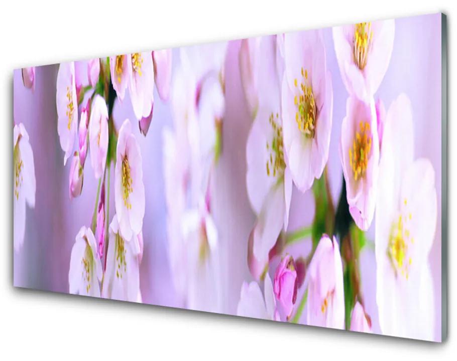 Obraz na akrylátovom skle Kvety 120x60 cm