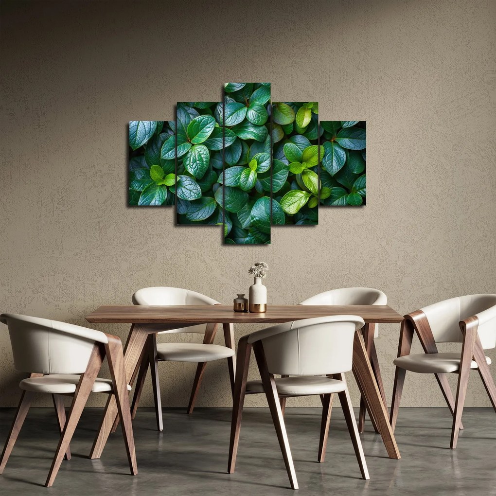 Obraz - Zelené rastliny (150x105 cm)