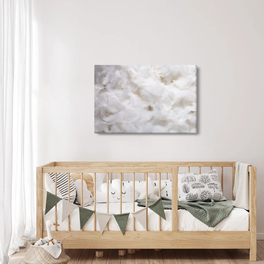 Obraz - Biele perie (90x60 cm)