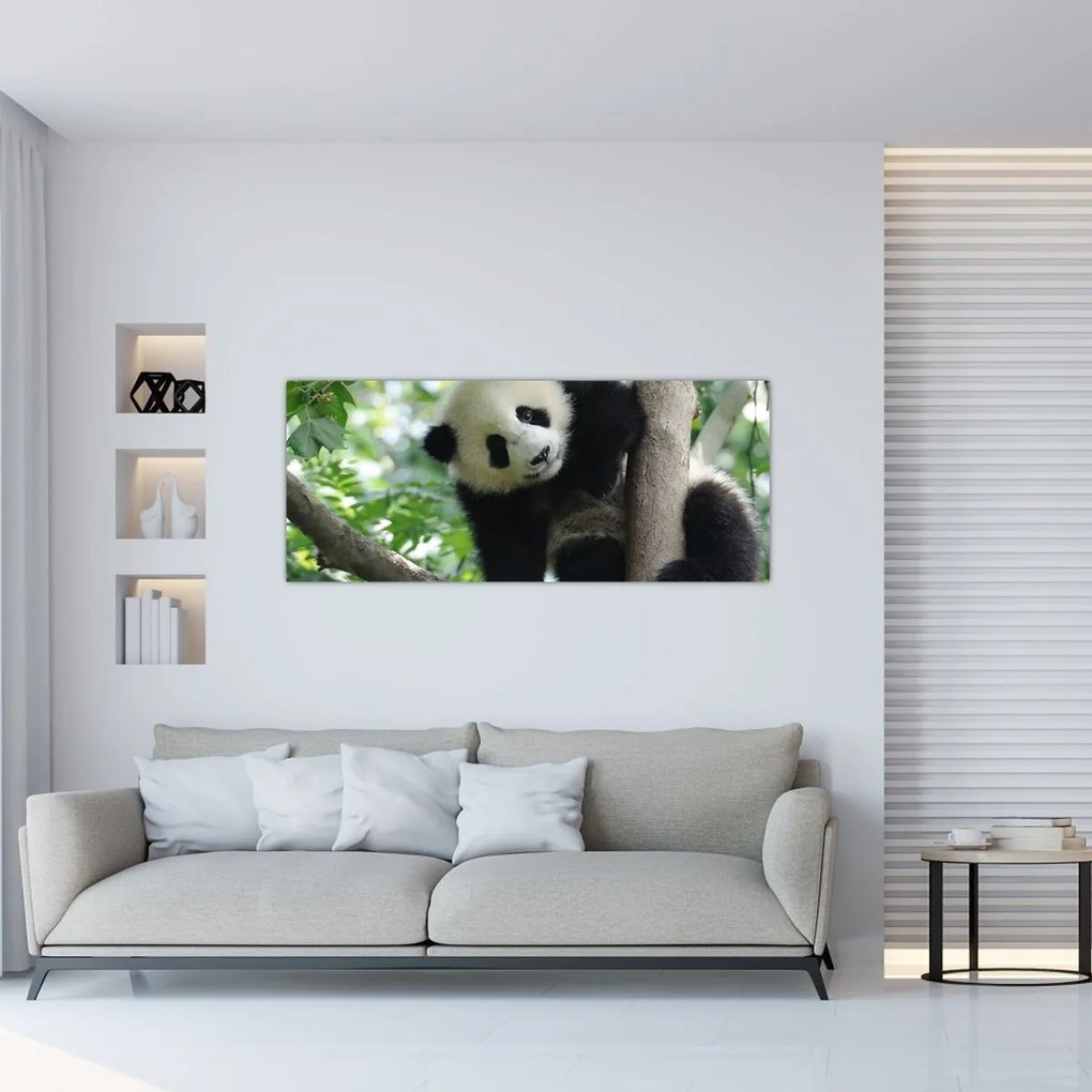 Obraz - Panda na strome (120x50 cm)