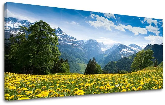 Obraz na stenu PANORÁMA KRAJINA | rôzne rozmery