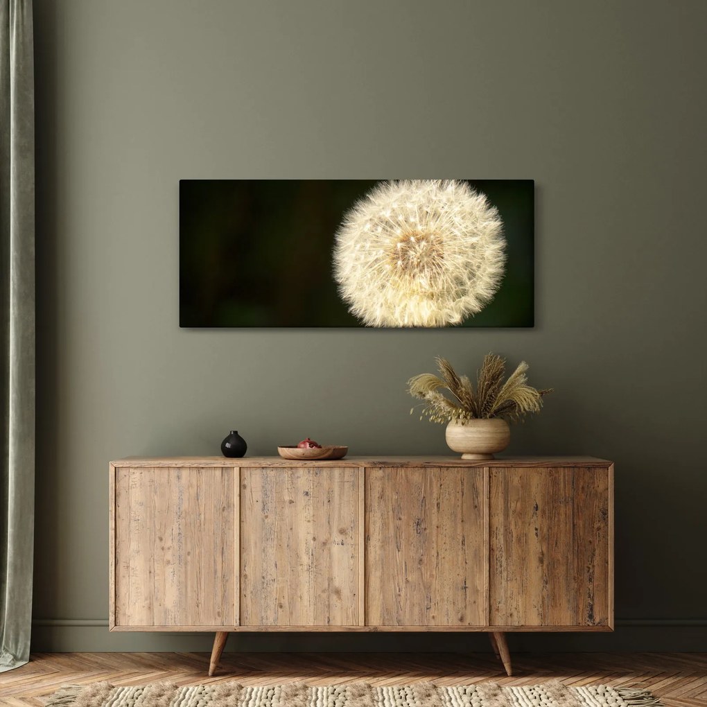 Obraz sivej púpavy (120x50 cm)