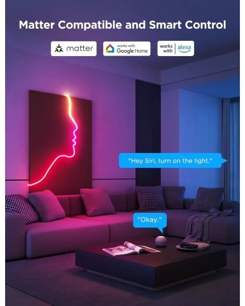 Govee - Neon 2 MATTER ohybný LED pásik 5m RGBIC Wi-Fi IP67