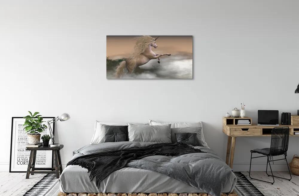 Obraz canvas Unicorn mraky 100x50 cm