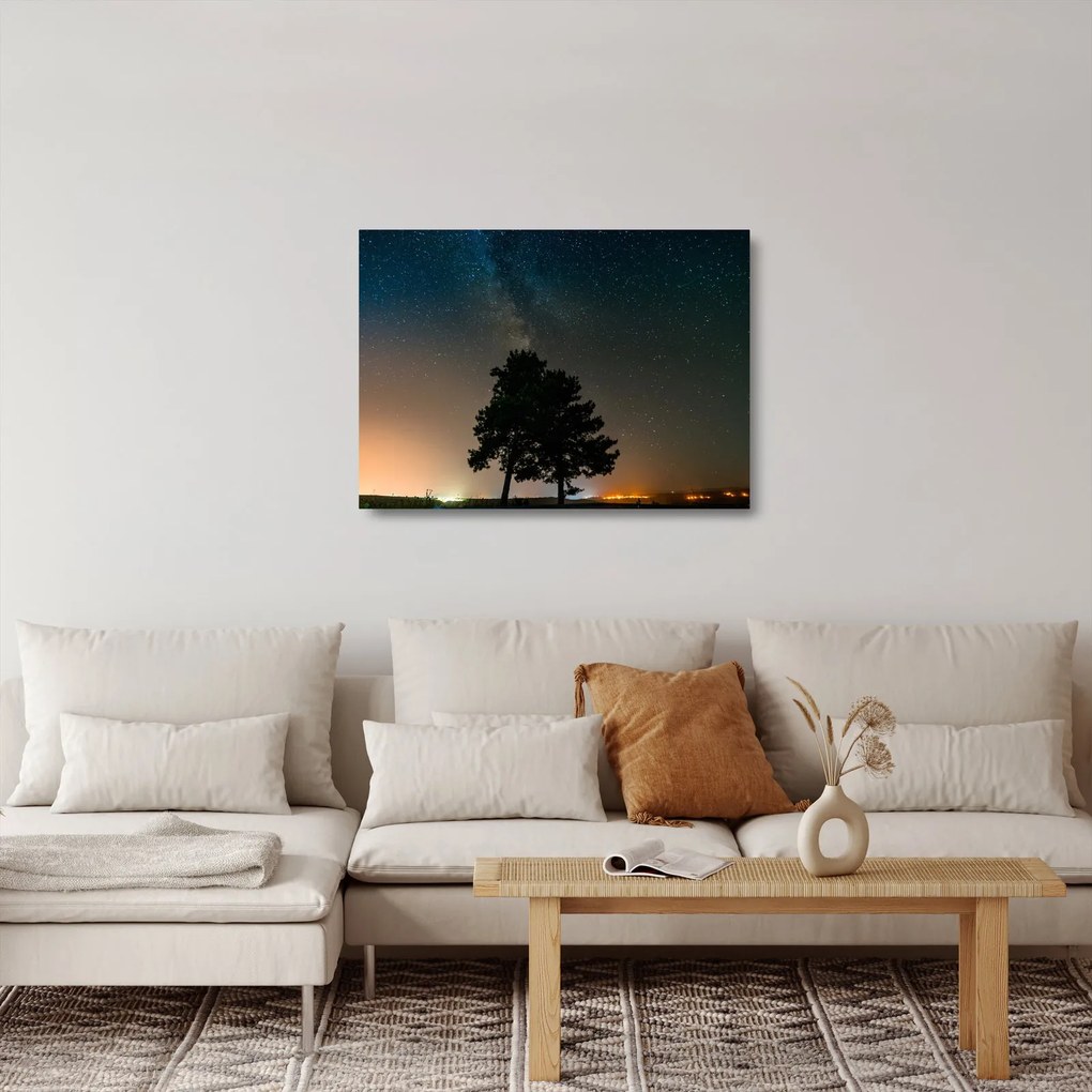 Sklenený obraz nočnej oblohy so stromami (70x50 cm)