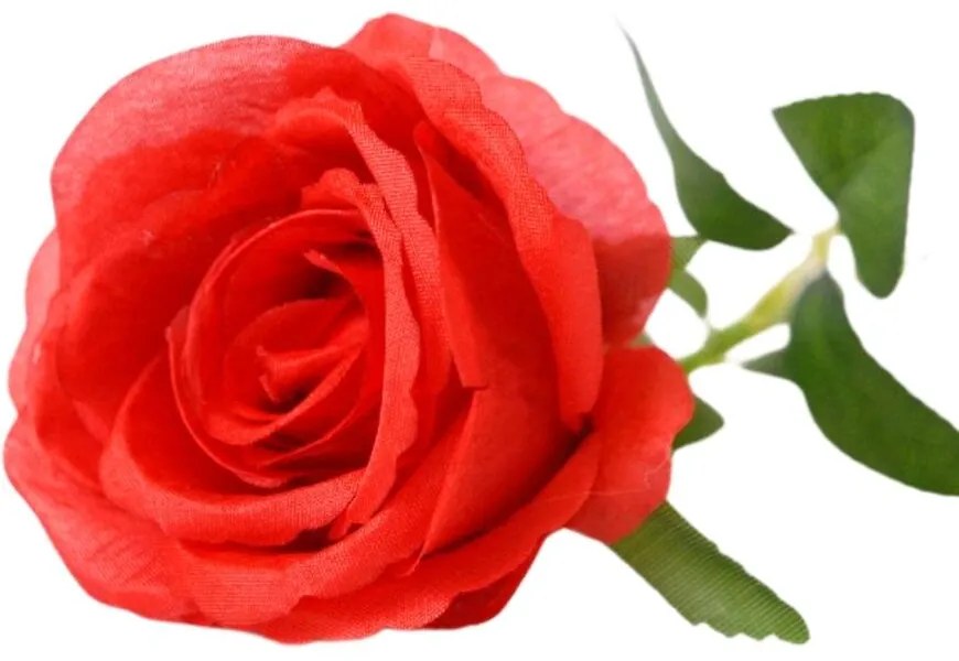 Ruža 54 cm vínová A2020231