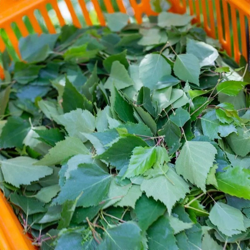 Prírodná vôňa do sauny breza-levanduľa 3ks