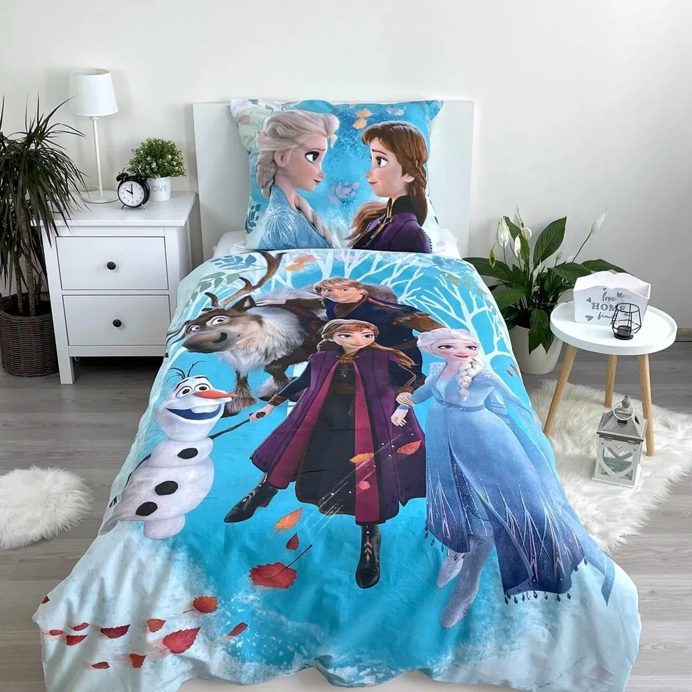 Jerry Fabrics Obliečky Ľadové kráľovstvo - Ľadové Kráľovstvo | 140 x 200 cm / 70 x 90 cm
