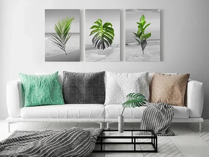 Artgeist Obraz - Plants (Collection) Veľkosť: 120x60, Verzia: Premium Print
