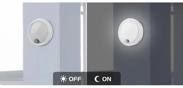 Rabalux 77029 - LED Vonkajšie nástenné svietidlo so senzorom LED/15W/230V IP54