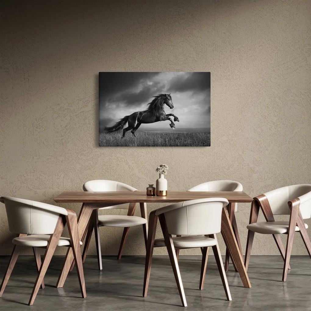 Obraz - Kôň čiernobiely (90x60 cm)