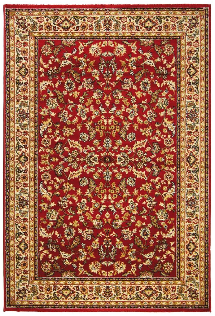 Sintelon koberce Kusový koberec SOLID 50 CEC - 240x340 cm