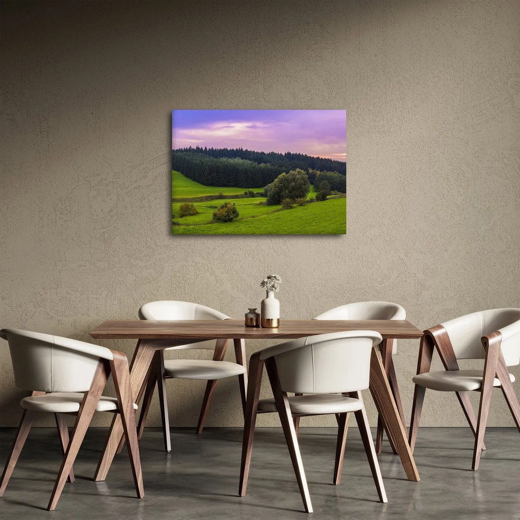 Obraz lúky (70x50 cm)