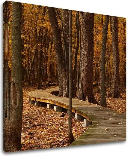 Obraz na stenu STROMY ST018E12