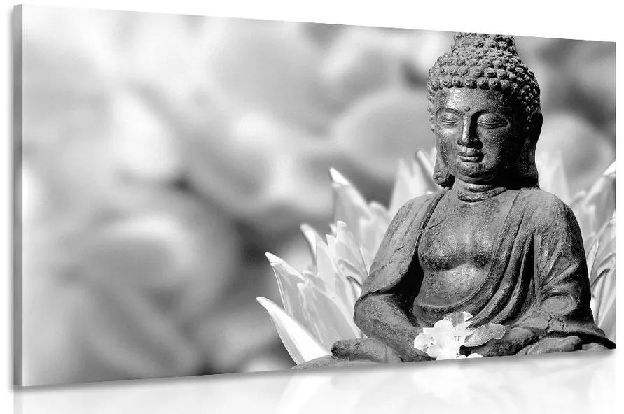 Obraz pokojný Budha v čiernobielom prevedení
