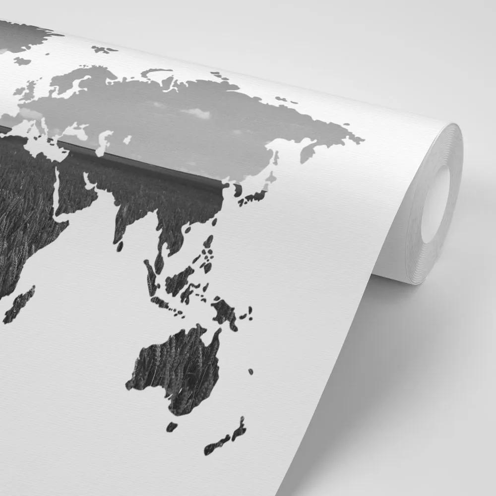Samolepiaca tapeta mapa sveta v čiernobielom - 225x150
