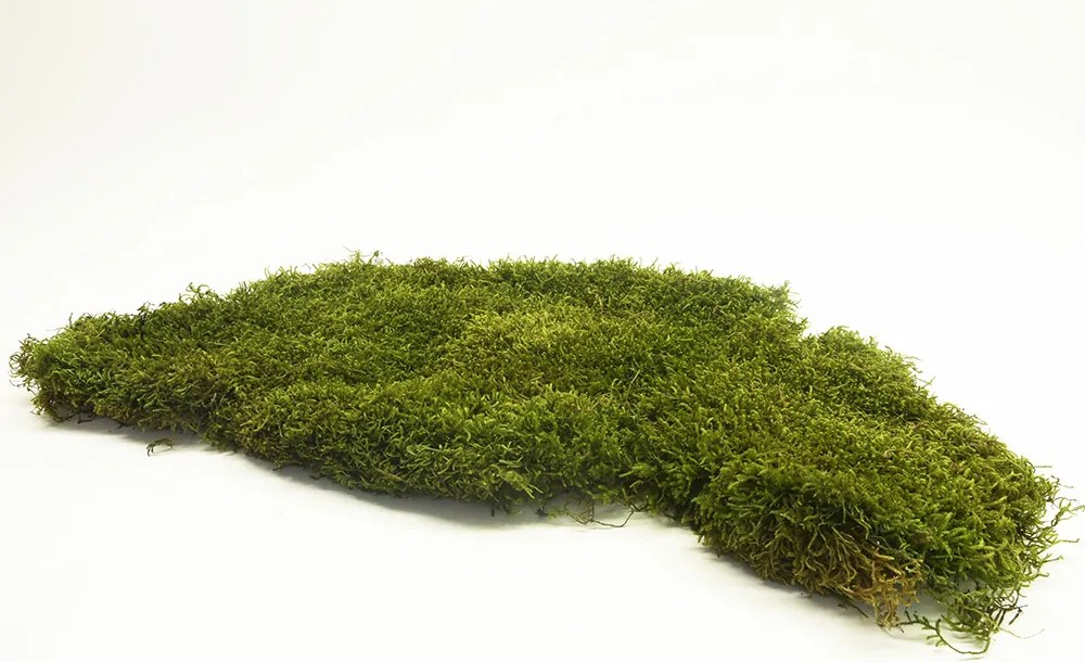 Stabilizovaný plochý mach 0,5m²