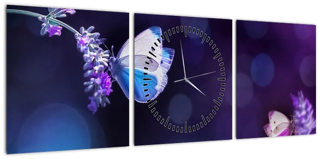 Obraz - Motýle na levanduli (s hodinami) (90x30 cm)