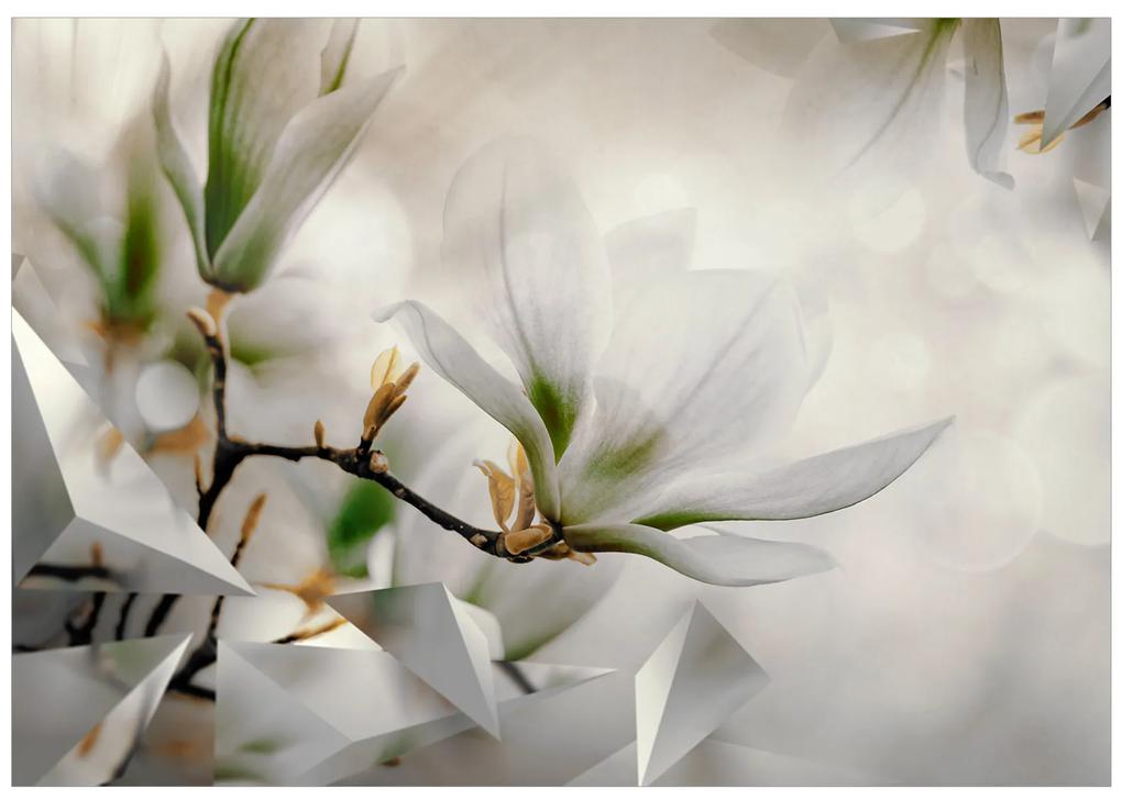 Artgeist Fototapeta - Subtle Magnolias - Second Variant Veľkosť: 100x70, Verzia: Premium