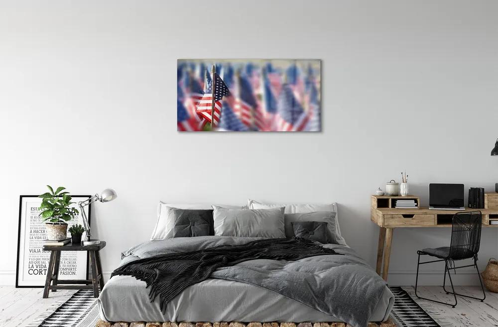 Obraz plexi Vlajky spojených štátov 100x50 cm