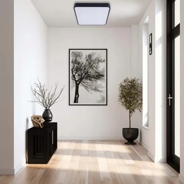 LED Stropné svietidlo FELIZ LED/50W/230V 4000K 40x60 cm čierna